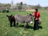 Embervédelem